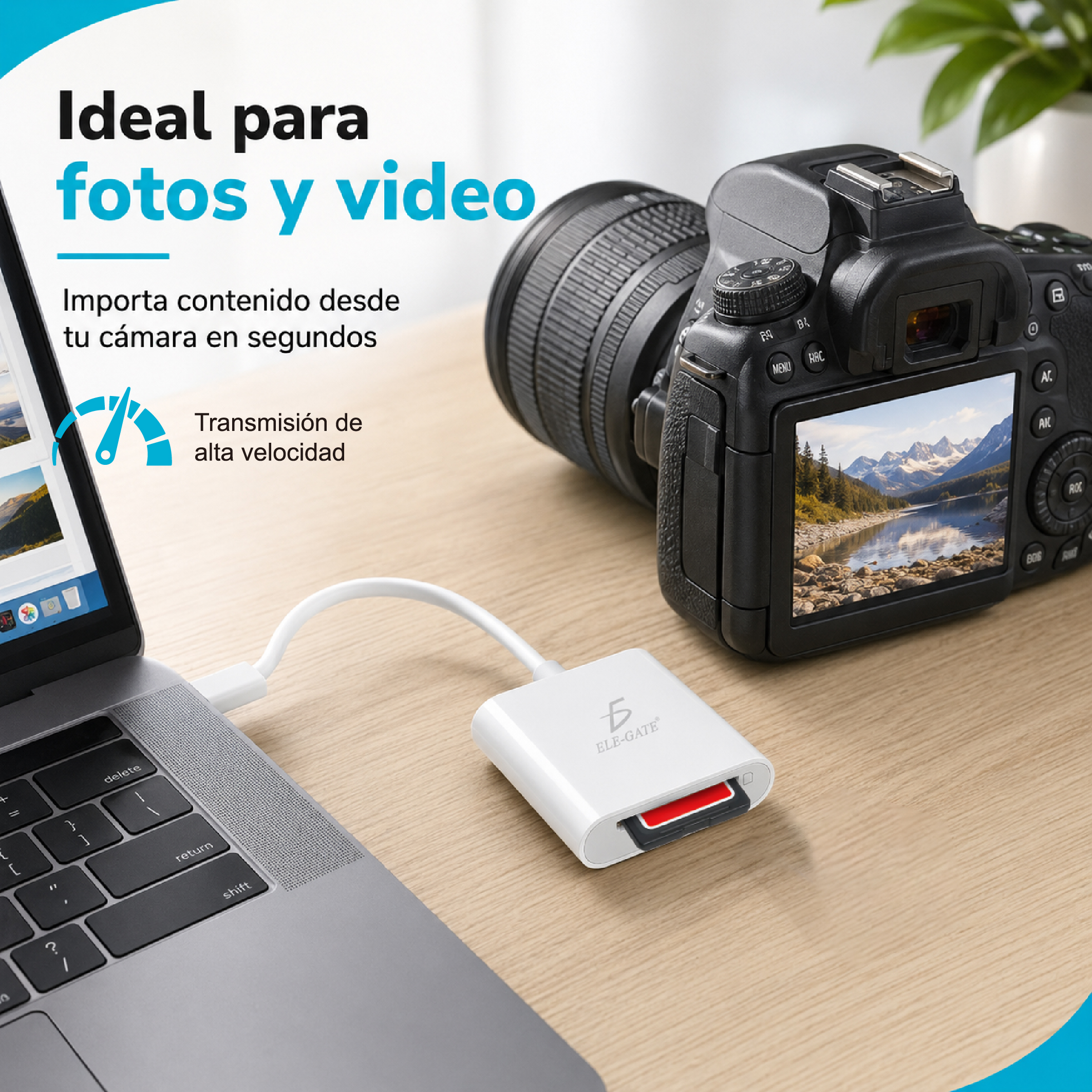 Lector de Tarjetas USB-C 2 en 1 para SD y TF/MicroSD para Celular Tablet y Laptop - Image 3