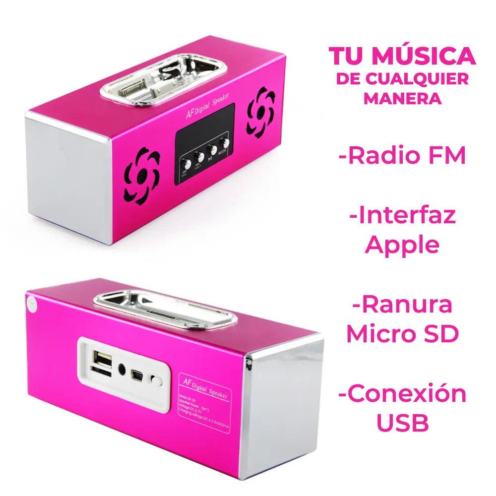 Bocina Fm Lector Memoria Sd Usb Metal