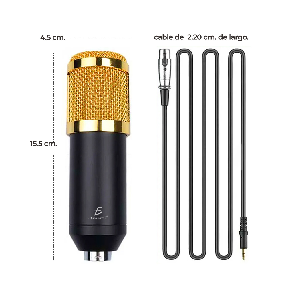 Kit Microfono Condensador Bm800 Tarjeta Usb r Negro