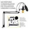 Kit Profesional Microfono Condensador Grabación Estudio ktv