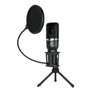 Microfono De Estudio Actuación En Vivo