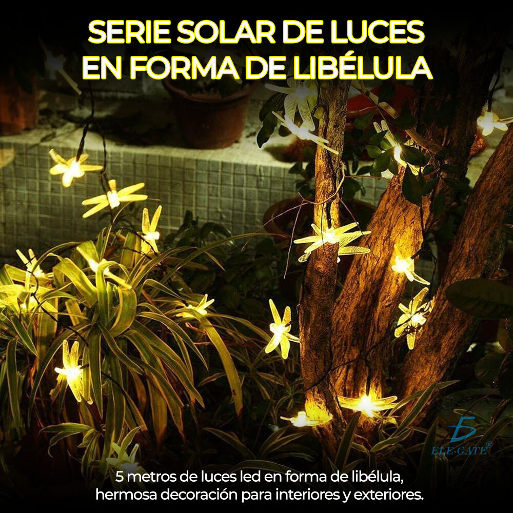 Serie De Luces Coloridas Libélula Carga Solar 5 Metro