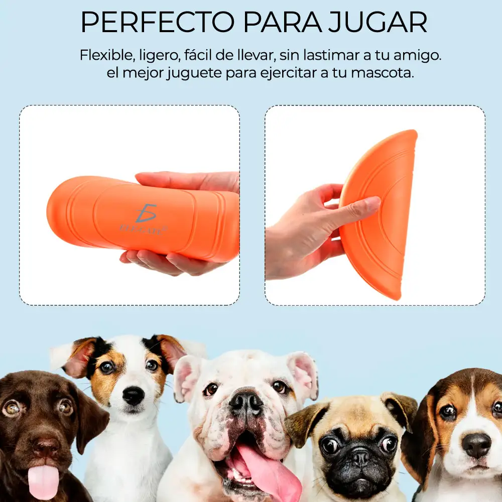 Entrenamiento Mascota Frisbee Comederos Multifuncional
