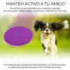 Entrenamiento Mascota Frisbee Comederos Multifuncional