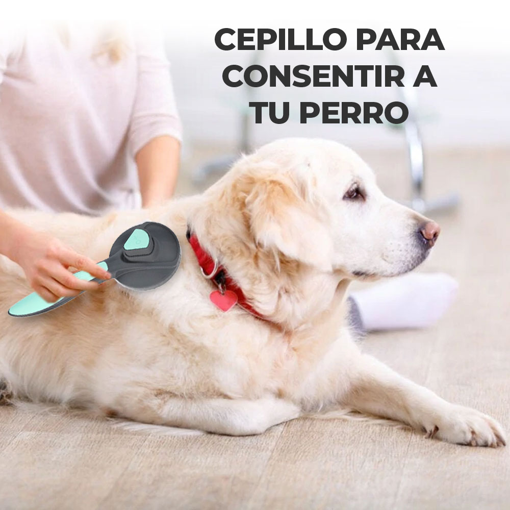 Cepillo Para Mascota Autolimpiante Aseo Limpieza Perros Gato