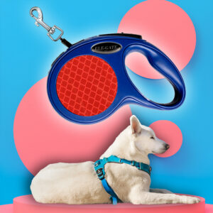 Correa Retráctil Para Perros Y Mascotas Grandes 5Mts