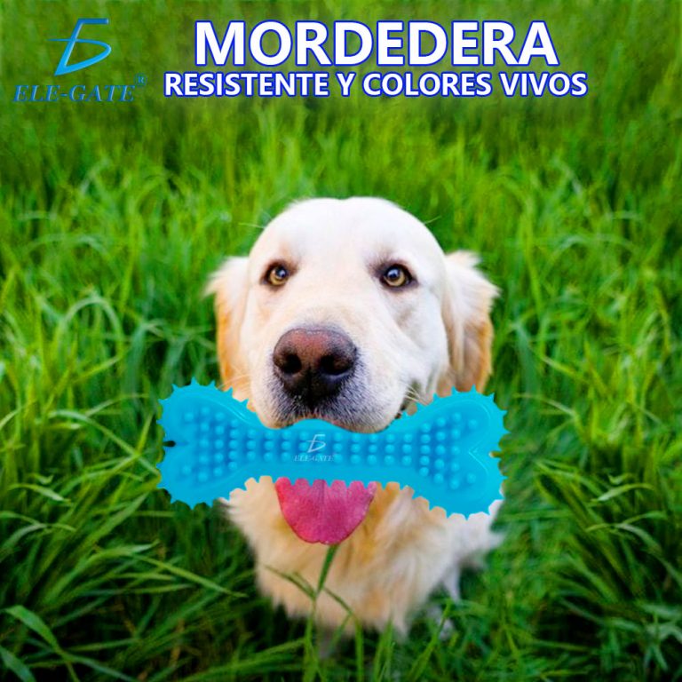 Mordedera perro