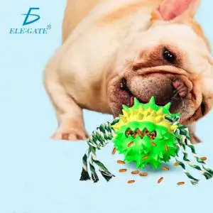 Juguete de Mascota Sonando Dientes Molar Perro Cepillo De Diente