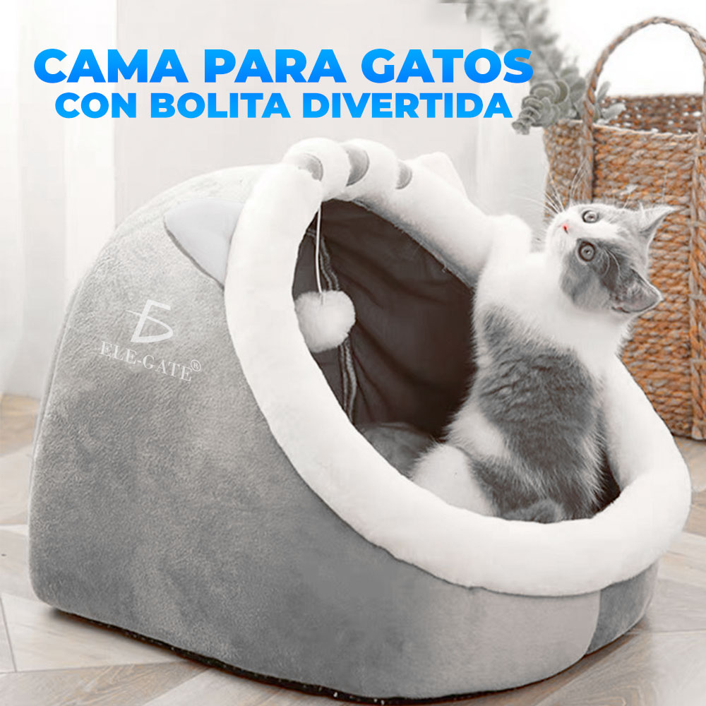 Casa best sale iglu gato