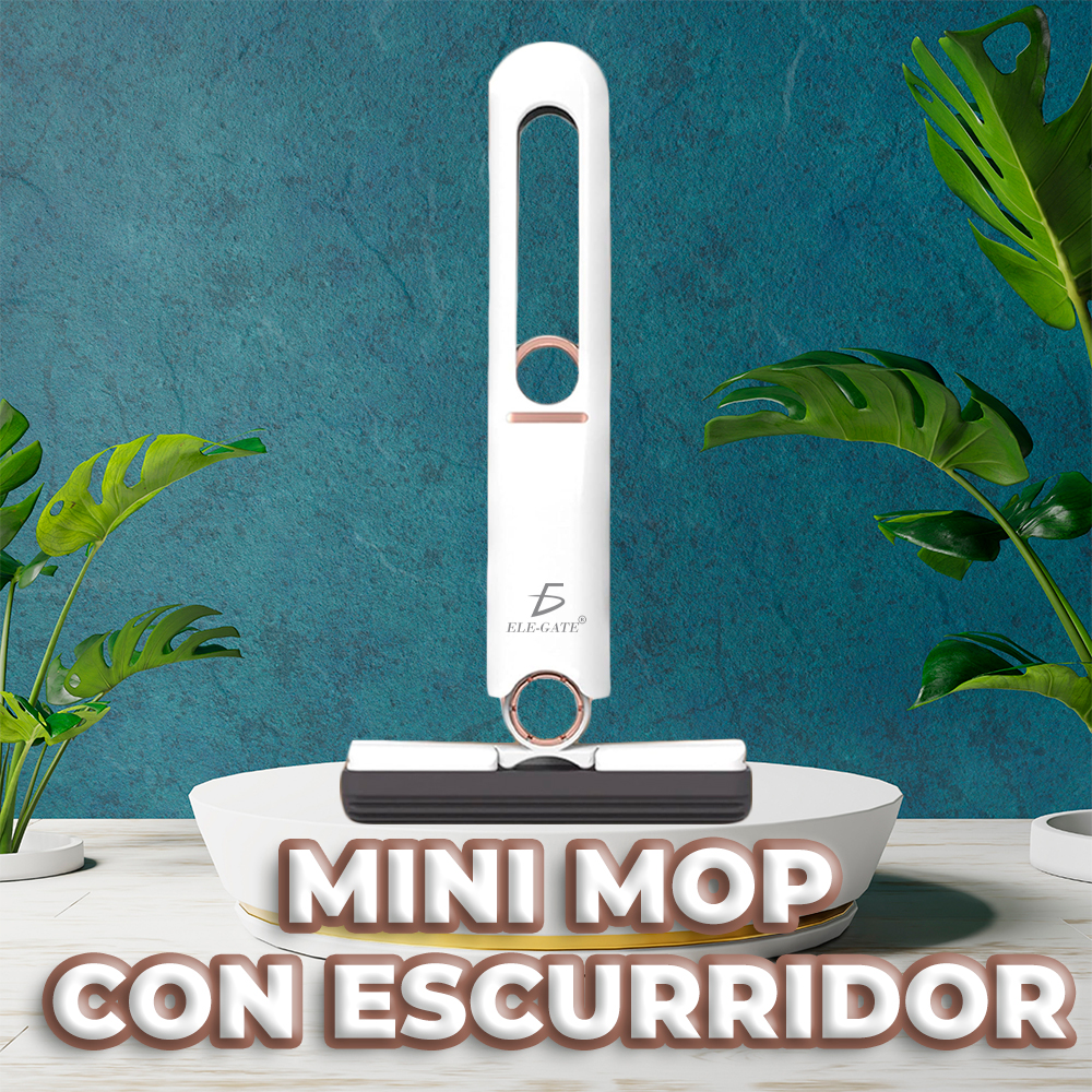 Mini Mopa Portatil Para El Hogar Multiuso Baño Cocina Vidrio