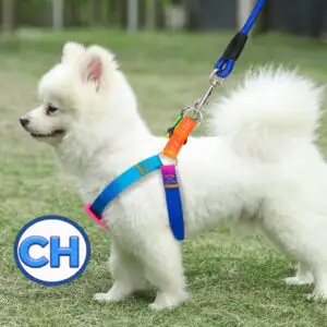 Juego de Arnés y Correa para Mascota Talla S