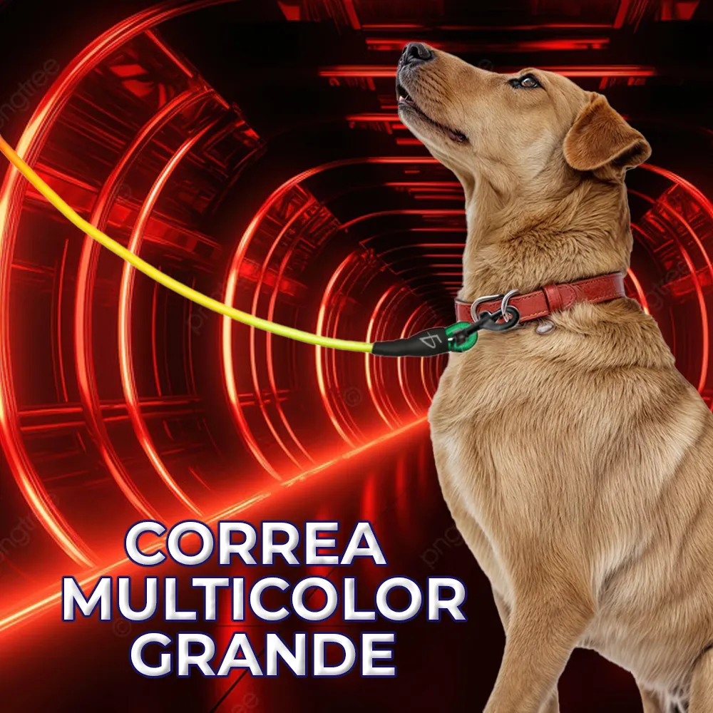 Correa Multicolor Grande