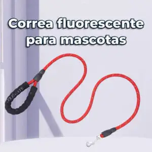Arnés Ajustable para Perros Pequeños y Medianos - Paseos Cómodos y Seguros