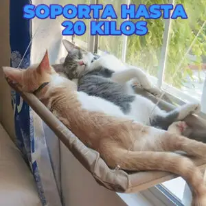 Hamaca Flotante de Ventana para Gatos