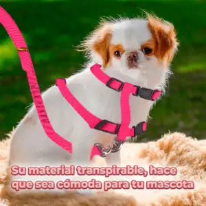 Arnés con Correa para Gatos en Talle Medio - Colores Variados