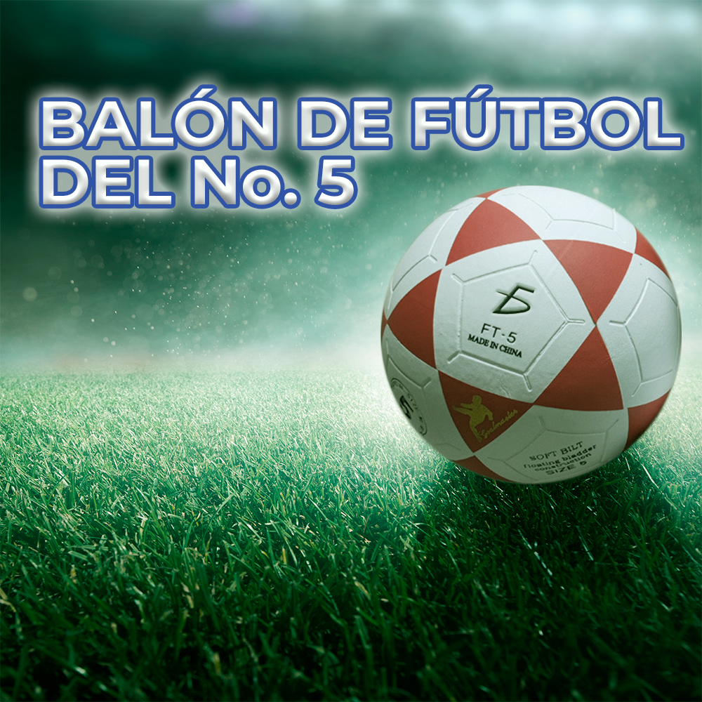 BALON DE FUTBOL #5