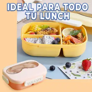 Lunch Box 4 piezas estilo Kawaii