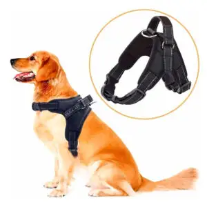 Pretal Reforzado para Perros Grandes - Talla L