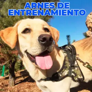 Pechera con Bandas Reflectantes para Perros - Talla M