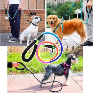 Correa Resistente y Antitirones para Perros Medianos y Grandes - Paseos Seguros y Cómodos
