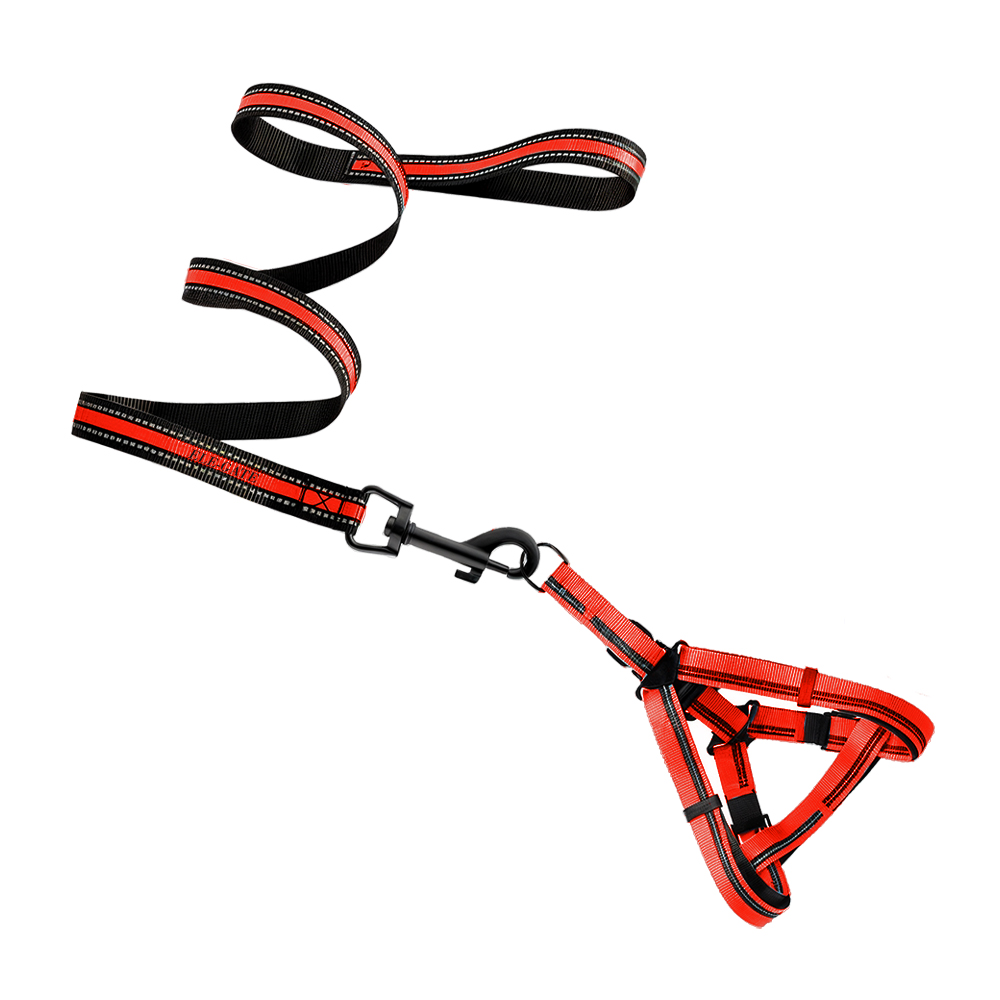 Conjunto de Arnés y Correa para Mascotas - Estilo para Entrenamiento y Paseos Cómodos - Image 5