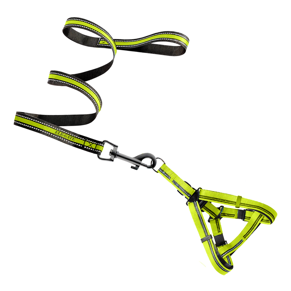 Conjunto de Arnés y Correa para Mascotas - Estilo para Entrenamiento y Paseos Cómodos - Image 4