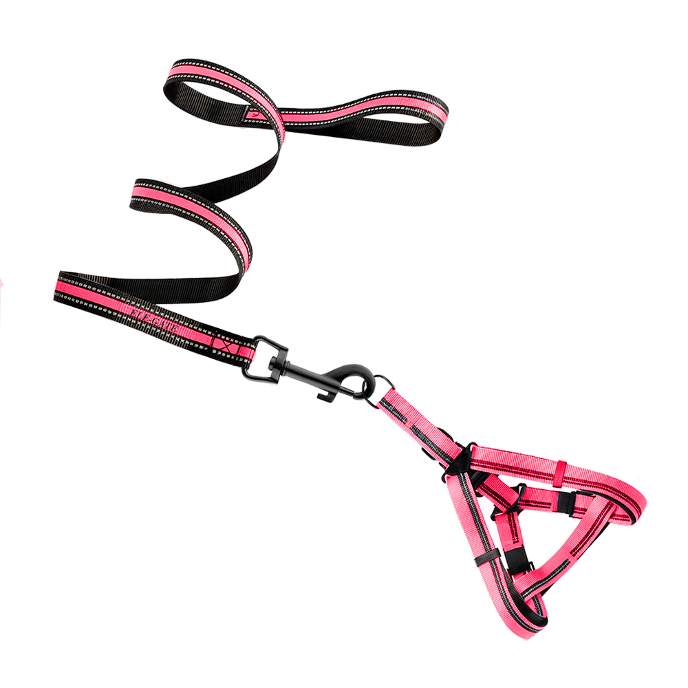 Conjunto de Arnés y Correa para Mascotas - Estilo para Entrenamiento y Paseos Cómodos - Image 2