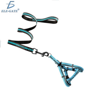 Conjunto de Arnés y Correa para Mascotas - Estilo para Entrenamiento y Paseos Cómodos 