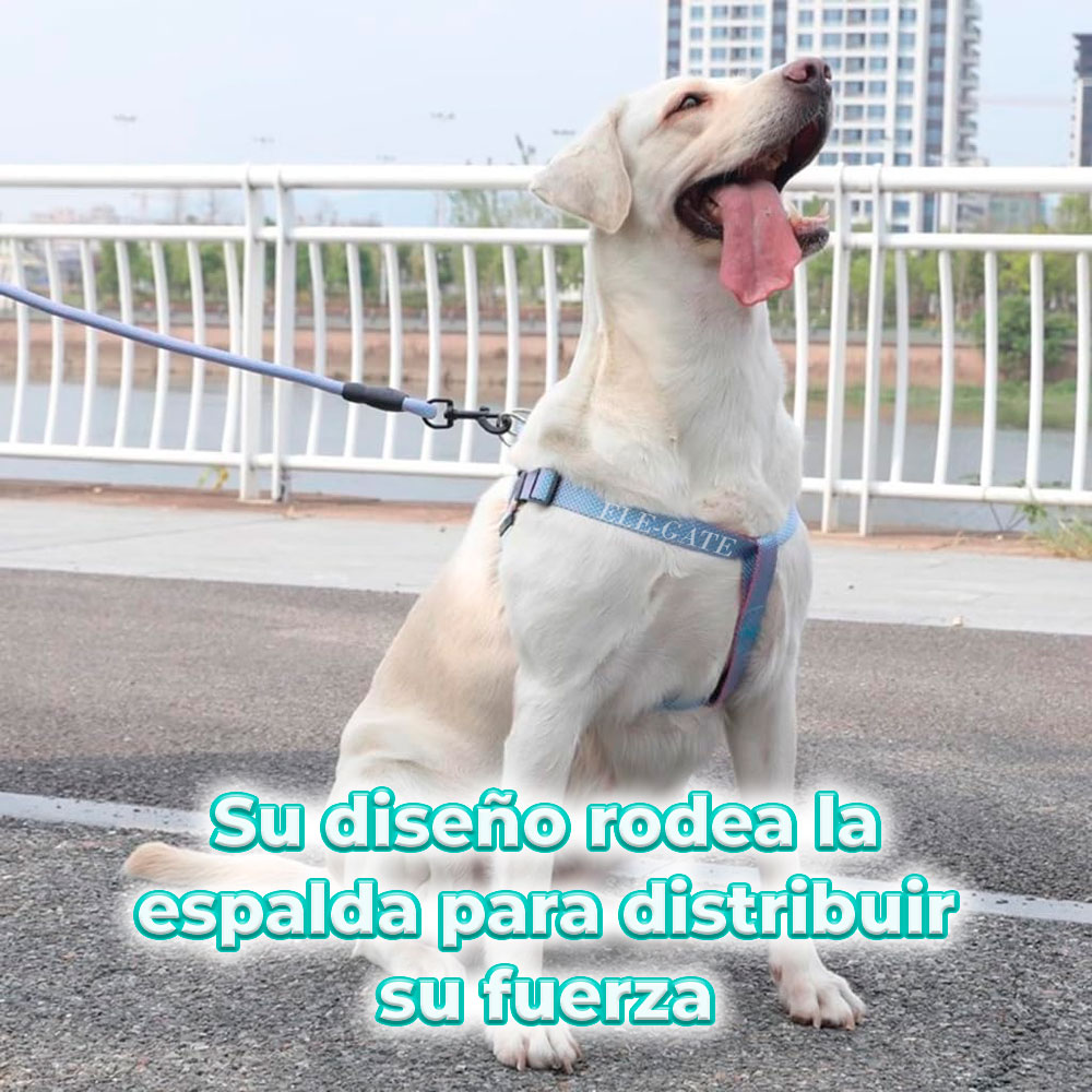 Arnés Ajustable para Perros Pequeños y Medianos - Paseos Cómodos y Seguros  - ELE-GATE