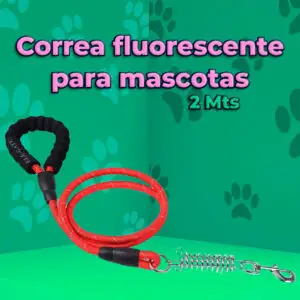 Correa de Nailon Resistente para Perros de 2 Metros