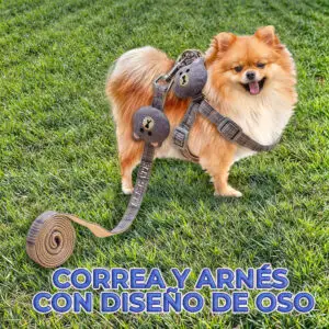 Correa y Arnés con diseño de Oso Kawaii