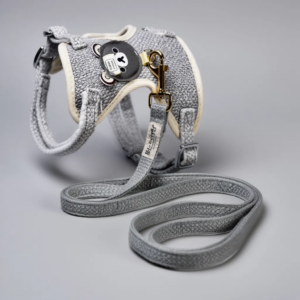 Juego de Correa con Pechera para gato pequeño con Detalle de Oso Kawaii